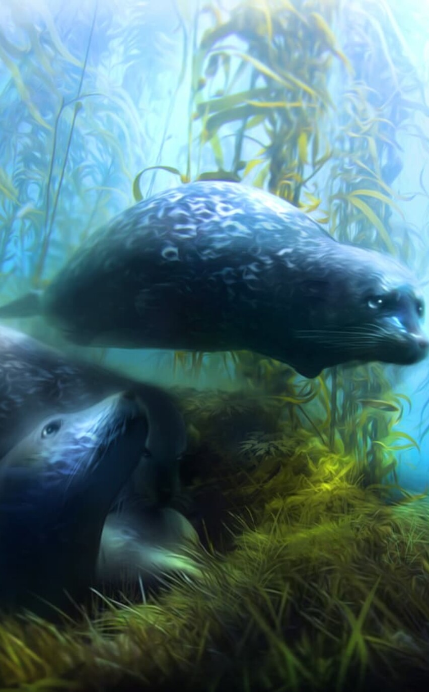 Mixed reality geolocated storyquest seal